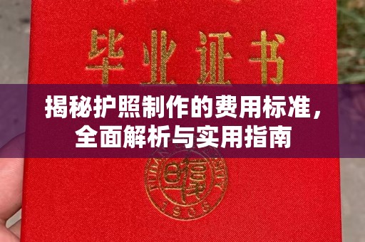 宝兴揭秘护照制作的费用标准，全面解析与实用指南