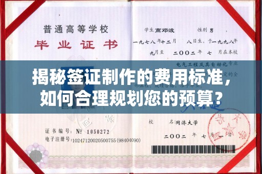 灵武揭秘签证制作的费用标准，如何合理规划您的预算？